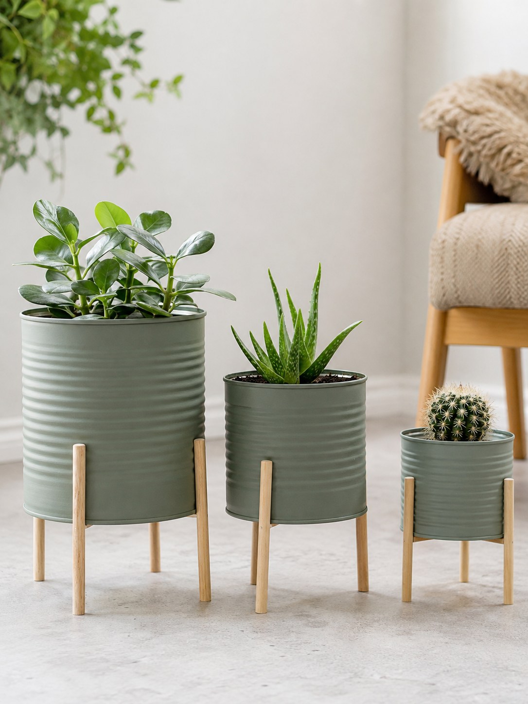 Alte Blechdosen mit Holzgestell als Pflanzgefäße, eine Upcycling Idee für Dosen und Gläser